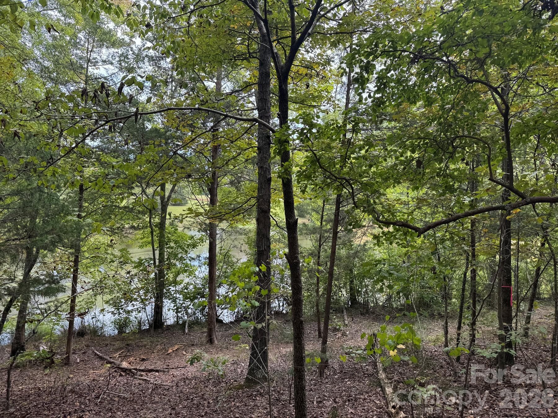 View of pond from homesite - 357 Pendergrass Road, York