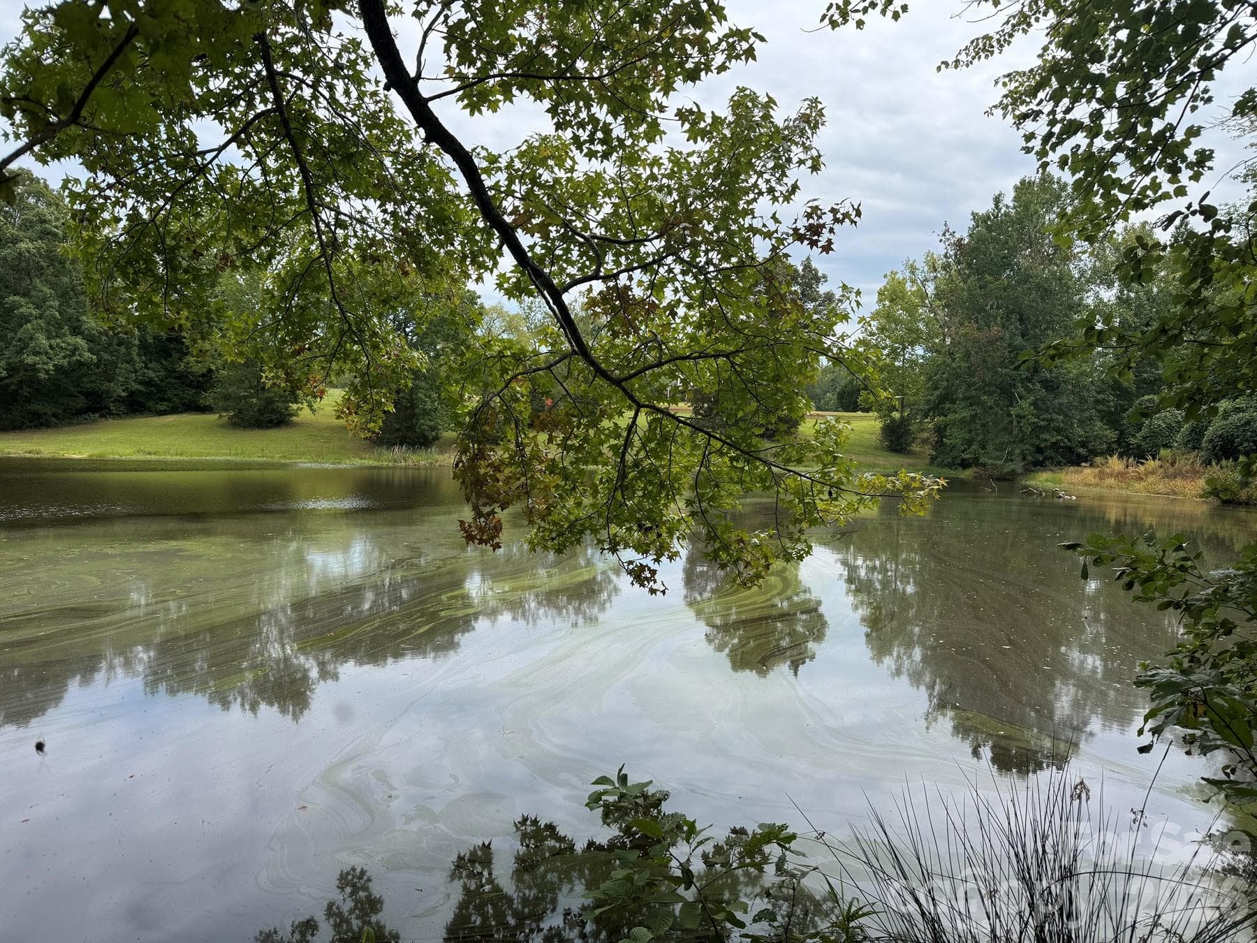 Southeast view of pond - 357 Pendergrass Road, York