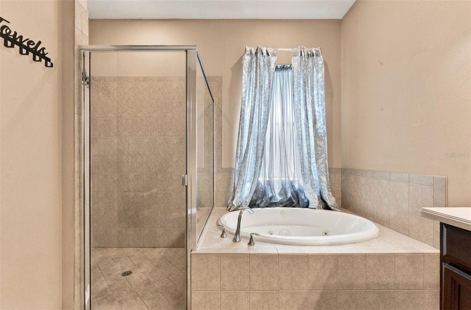 Primary bathroom first floor - 3508 MAJESTIC VIEW DR, LUTZ