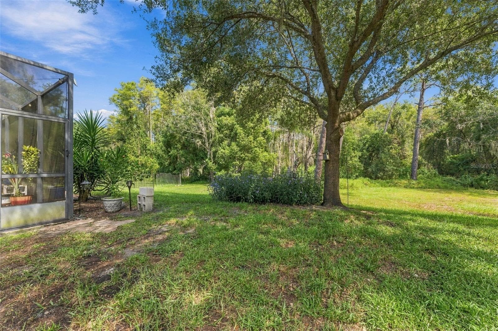 Backyard - 3508 MAJESTIC VIEW DR, LUTZ