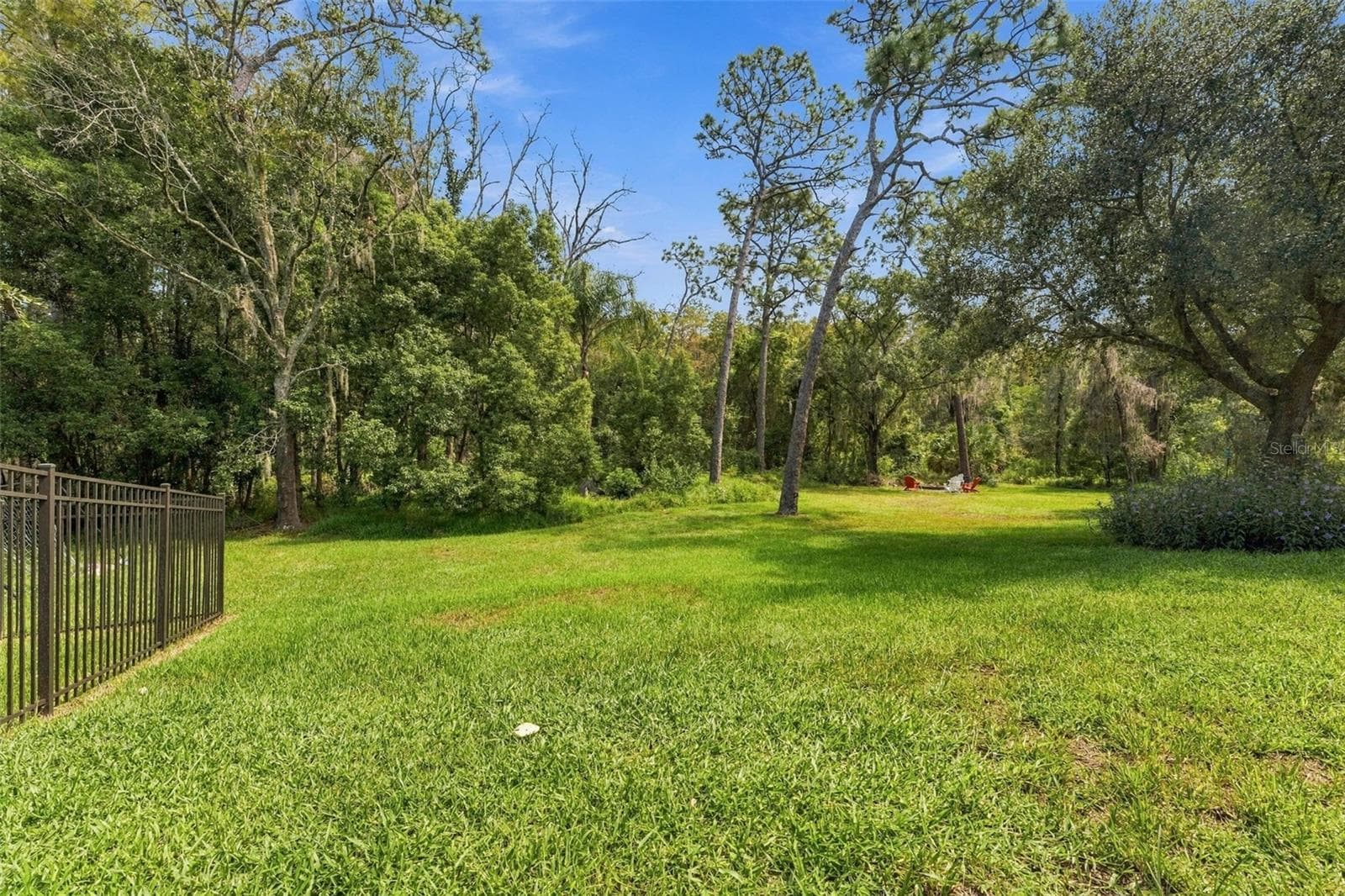 Backyard - 3508 MAJESTIC VIEW DR, LUTZ