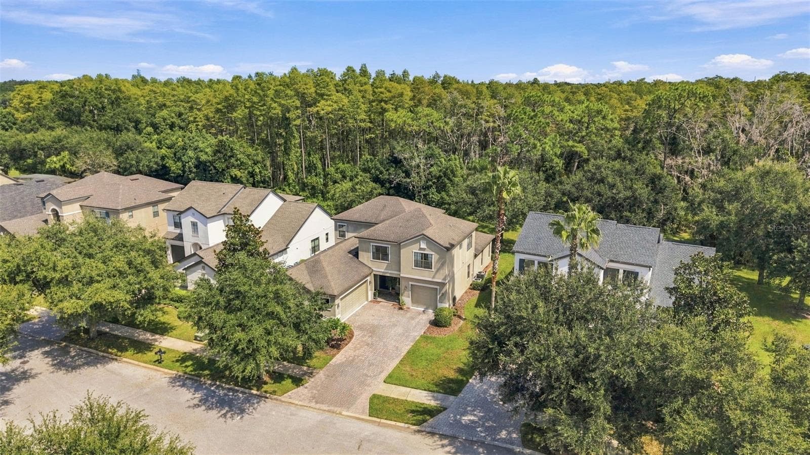 Top view of home - 3508 MAJESTIC VIEW DR, LUTZ