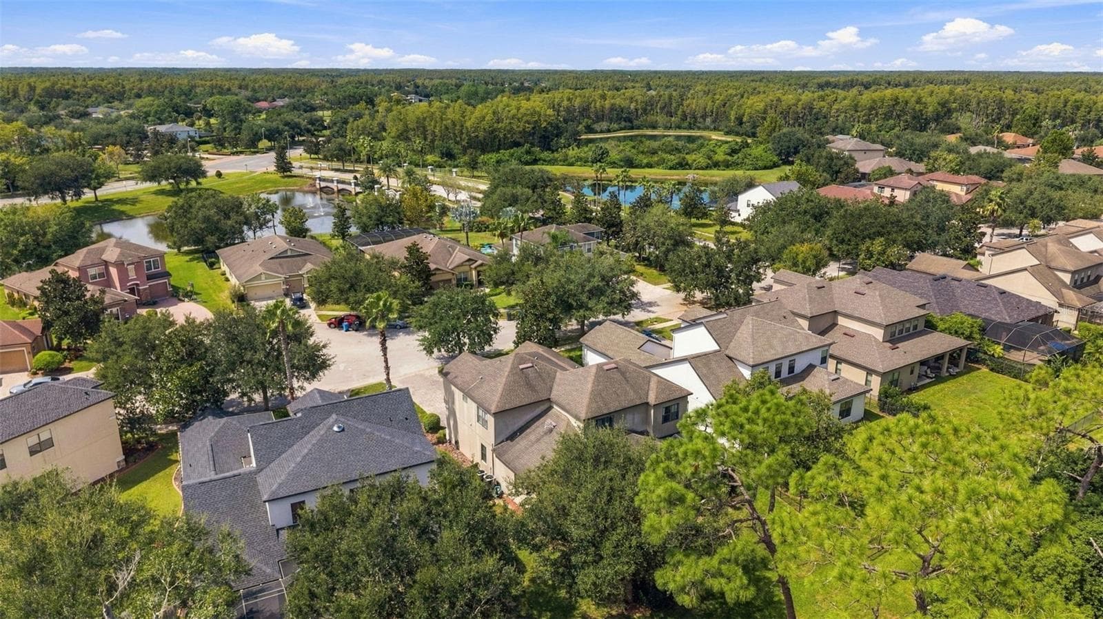 Top view of home - 3508 MAJESTIC VIEW DR, LUTZ