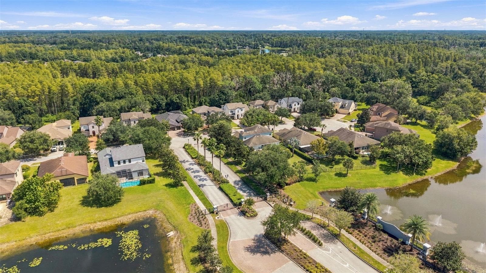 Top view of home - 3508 MAJESTIC VIEW DR, LUTZ