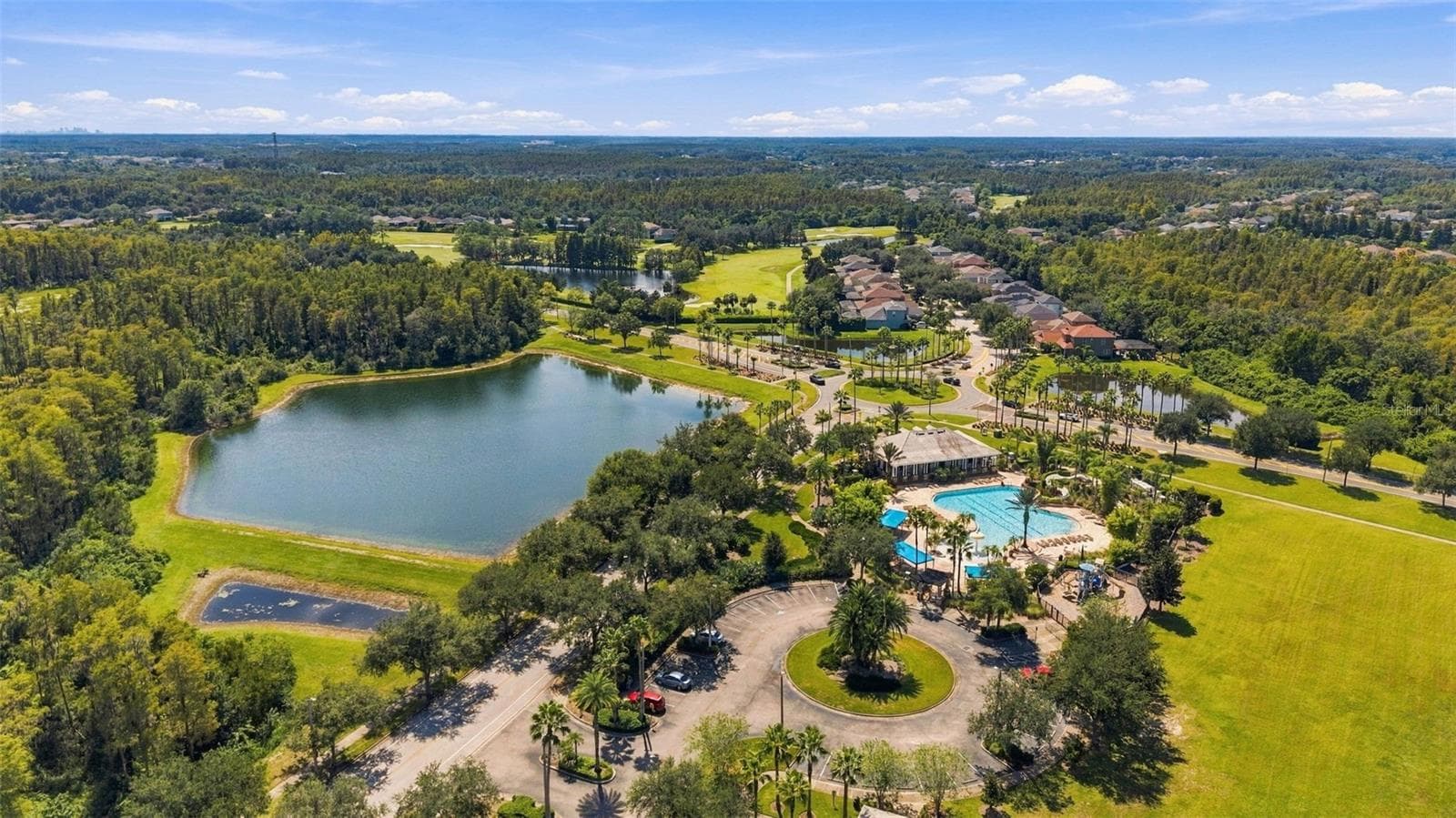 Top view of neighborhood - 3508 MAJESTIC VIEW DR, LUTZ