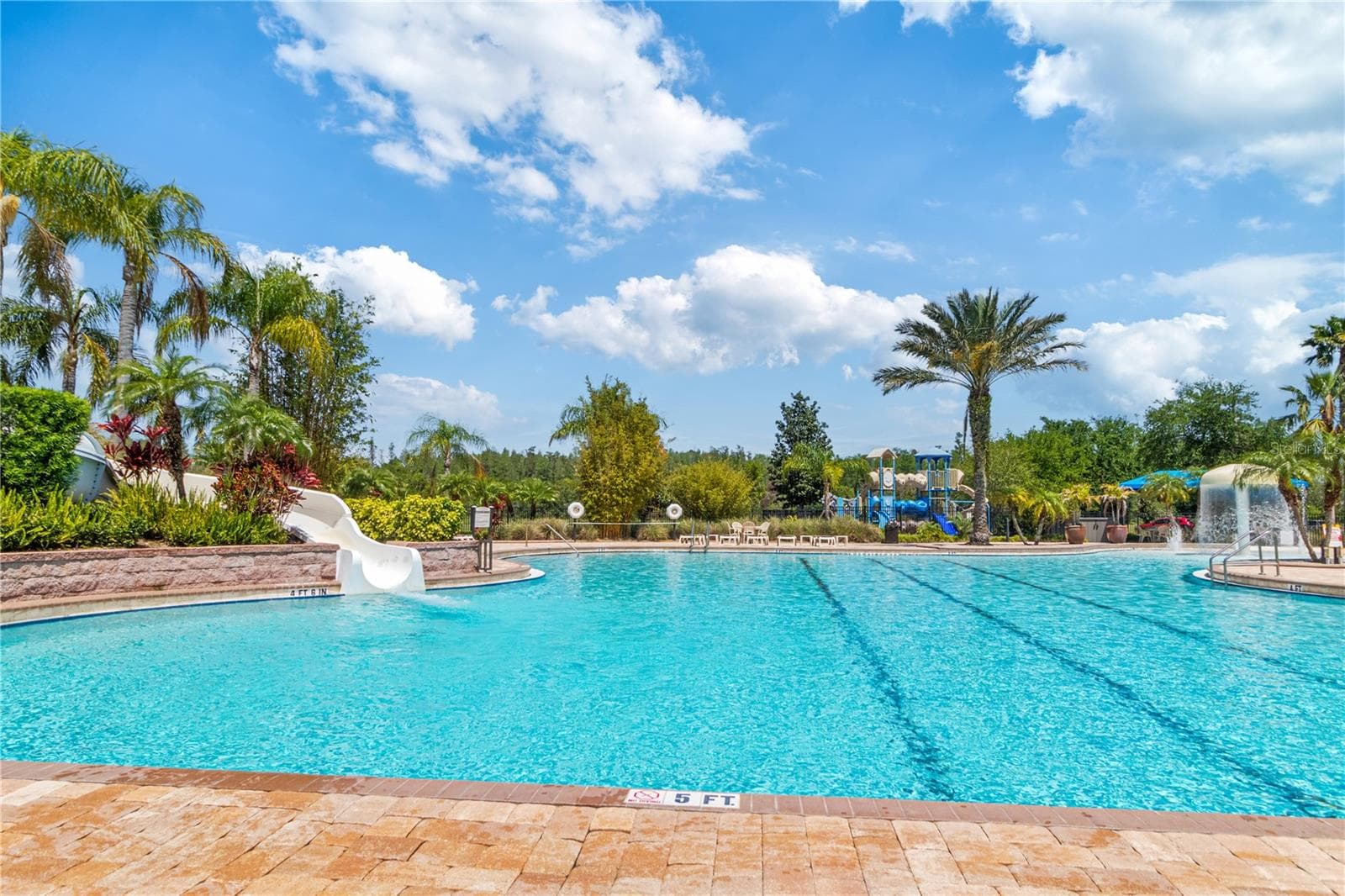 Pool - 3508 MAJESTIC VIEW DR, LUTZ
