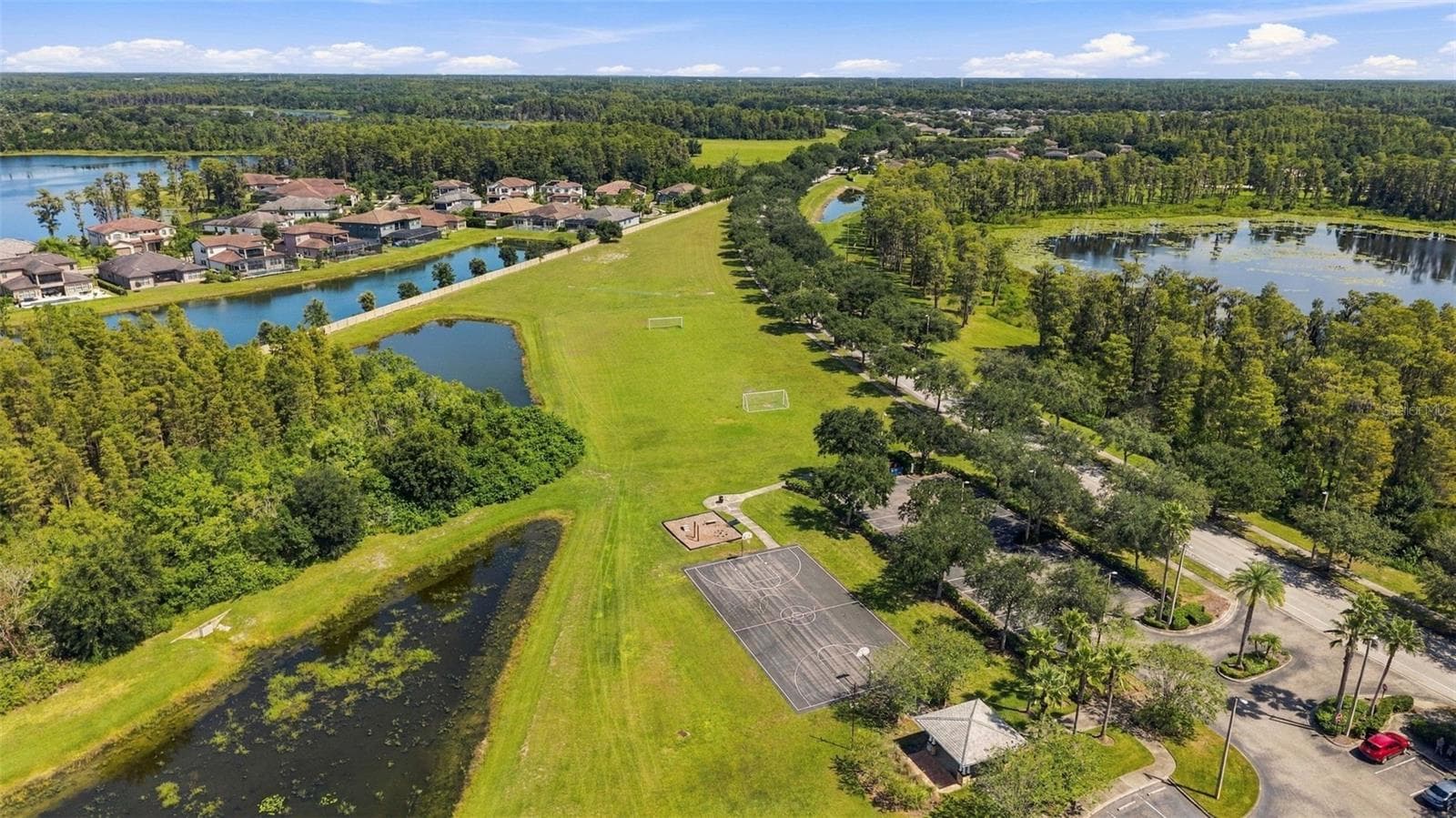 Top view of neighborhood - 3508 MAJESTIC VIEW DR, LUTZ
