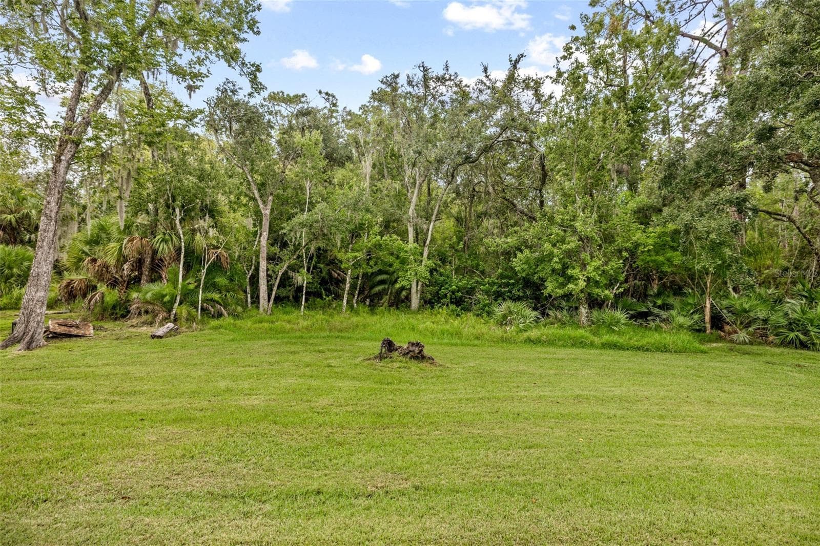 Throw a ball back here! - 15713 MUIRFIELD DR, ODESSA