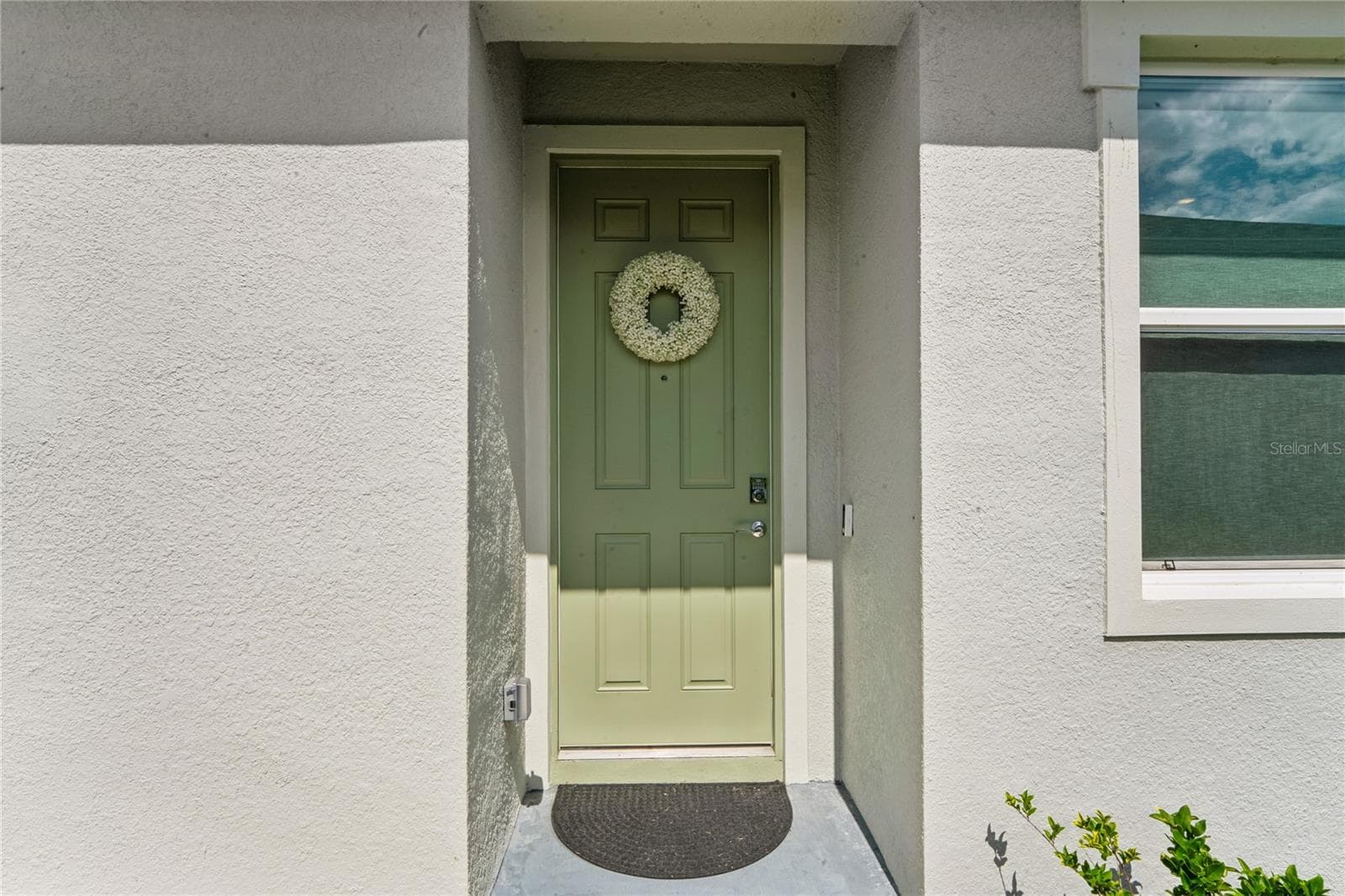Front door side entrance - 8580 BOLD CYPRESS LN, WESLEY CHAPEL