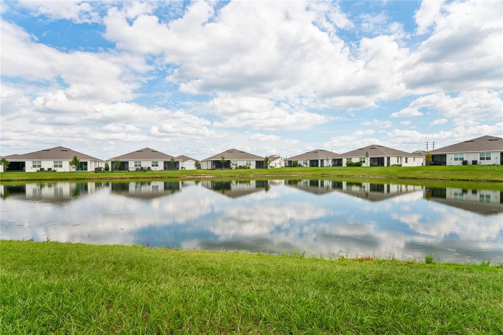 Pond view - 8580 BOLD CYPRESS LN, WESLEY CHAPEL