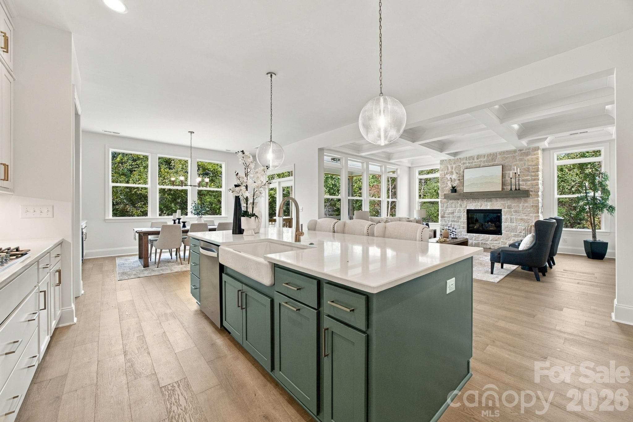Single Family Residence at 1264 Sage Pine Circle, Clover, photo 3 of 47