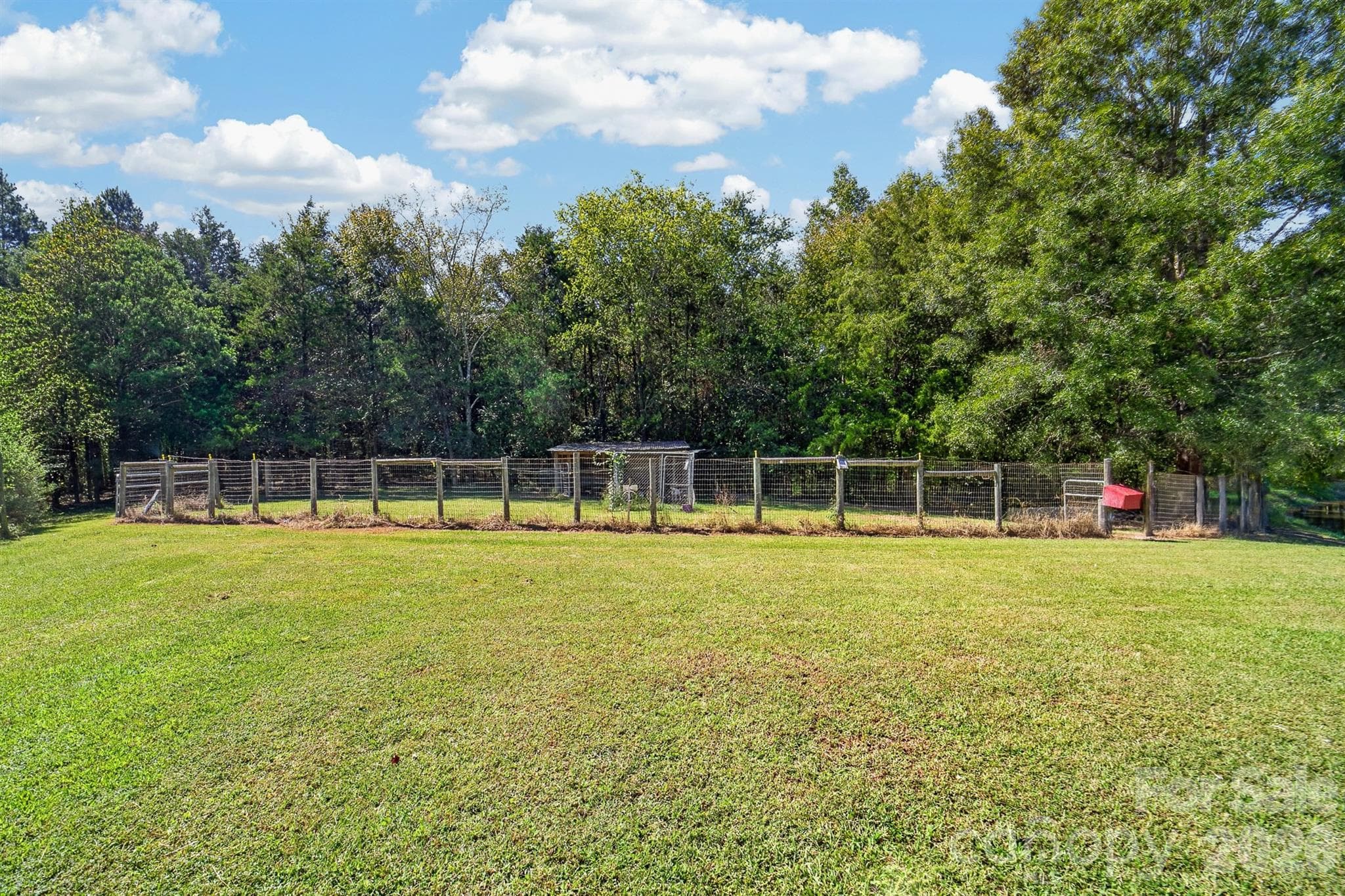 Fenced area for the dogs - 9702 Quail Cove Court, Indian Trail