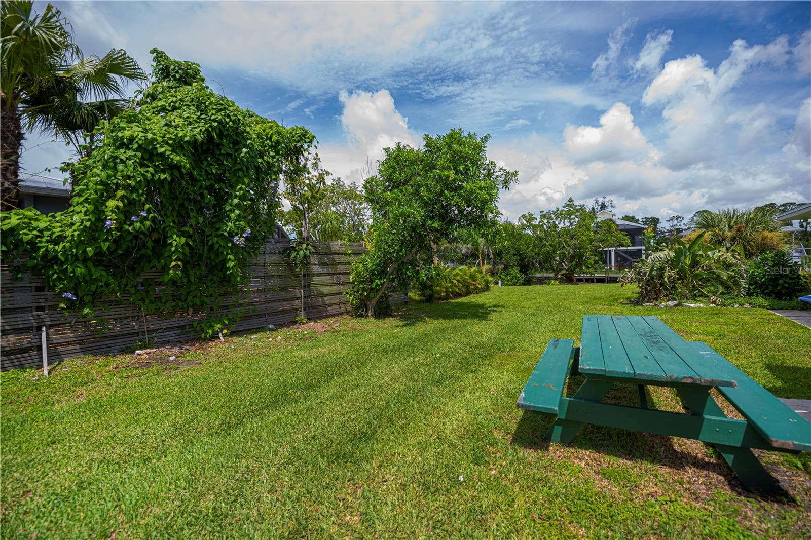 Backyard is ready for your creative touches! - 352 OAK ST, ENGLEWOOD