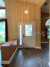 entry way - 4605 OAK RIVER CIR, VALRICO