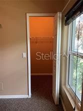 beroom 2 closet - 4605 OAK RIVER CIR, VALRICO