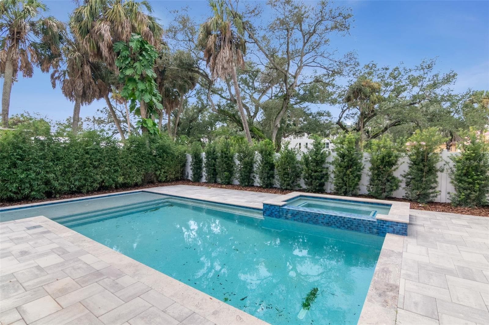 brand new pool and jacuzzi - 4706 W SAN JOSE ST, TAMPA