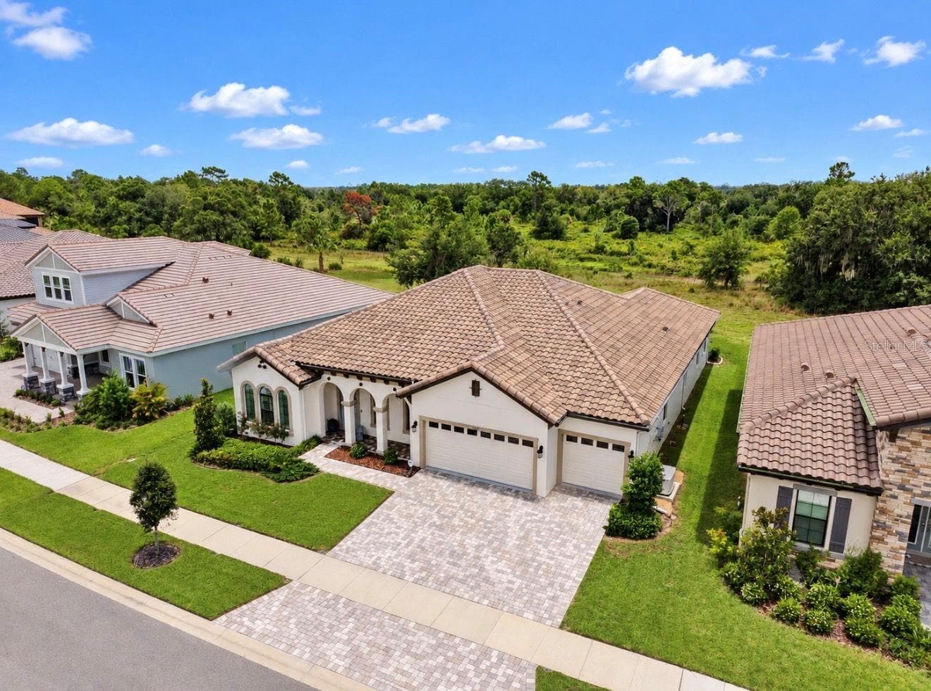 Single Family Residence at 14537 SWISS BRIDGE DR, LITHIA, photo 3 of 40