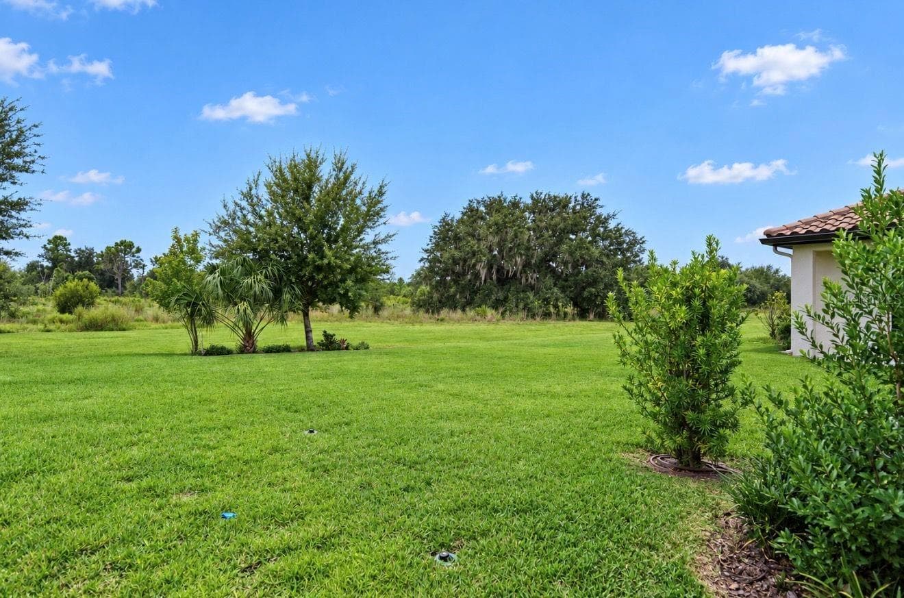 Single Family Residence at 14537 SWISS BRIDGE DR, LITHIA, photo 33 of 40