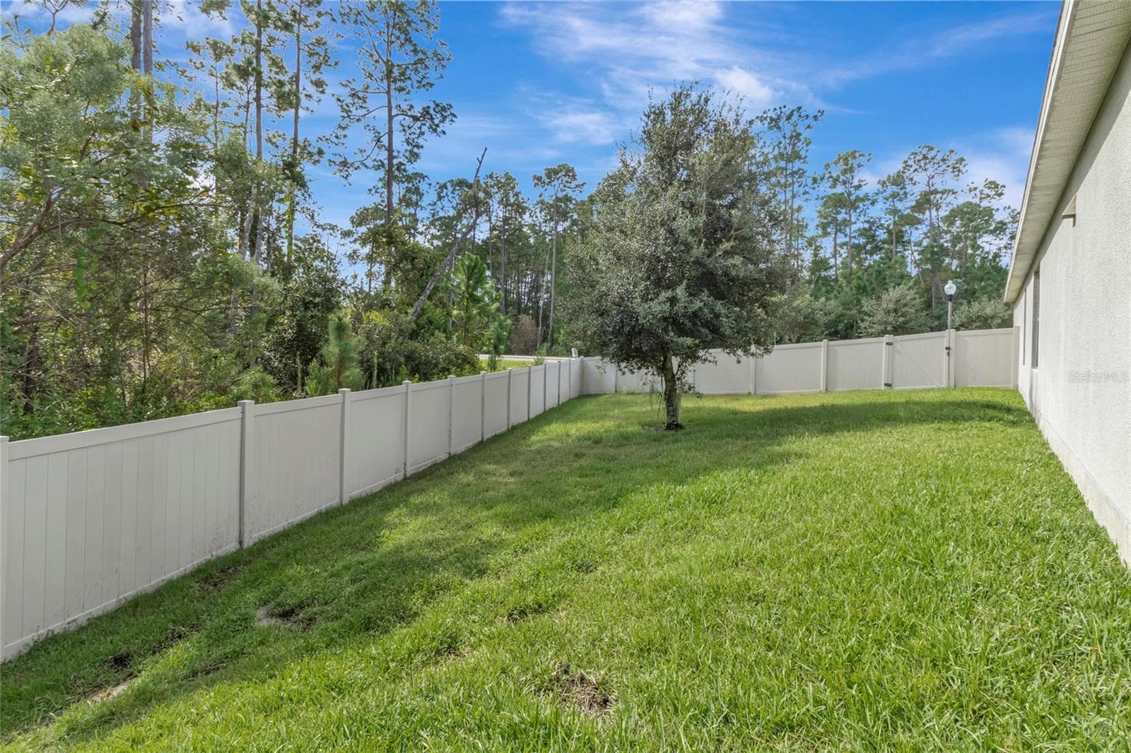Backyard - 8524 VIVARO ISLE WAY, WINDERMERE
