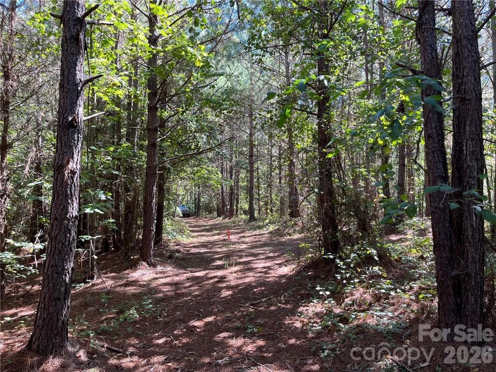 Acreage at 0 Pearidge Road, Bostic, photo 2 of 2