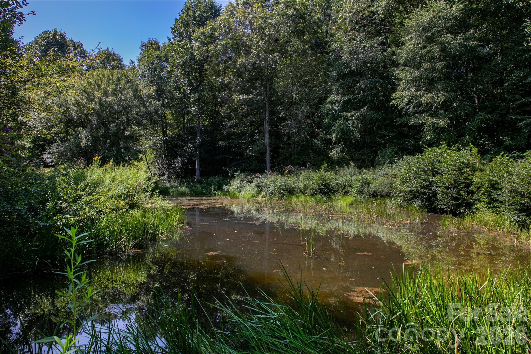 Pond/Water Feature - Lot 3 Sweetwater Ridge Road, Balsam Grove