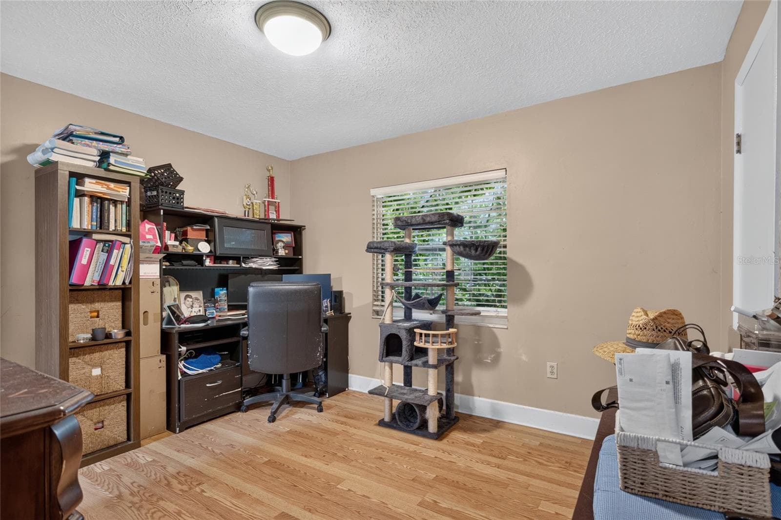 Single Family Residence at 531 GARRARD DR, TEMPLE TERRACE, photo 30 of 51