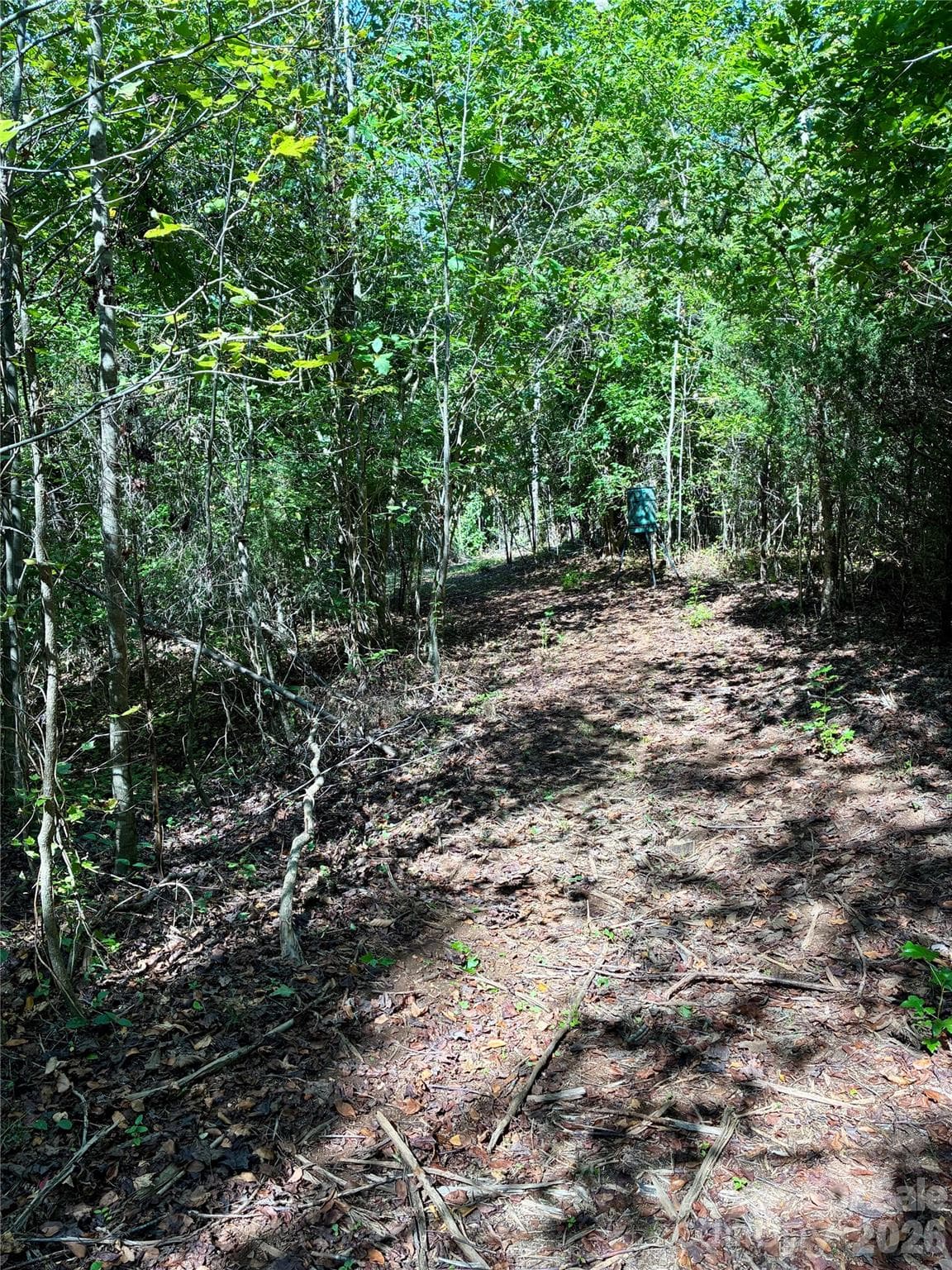 Deer Stands - 607 Anthony Grove Road, Crouse