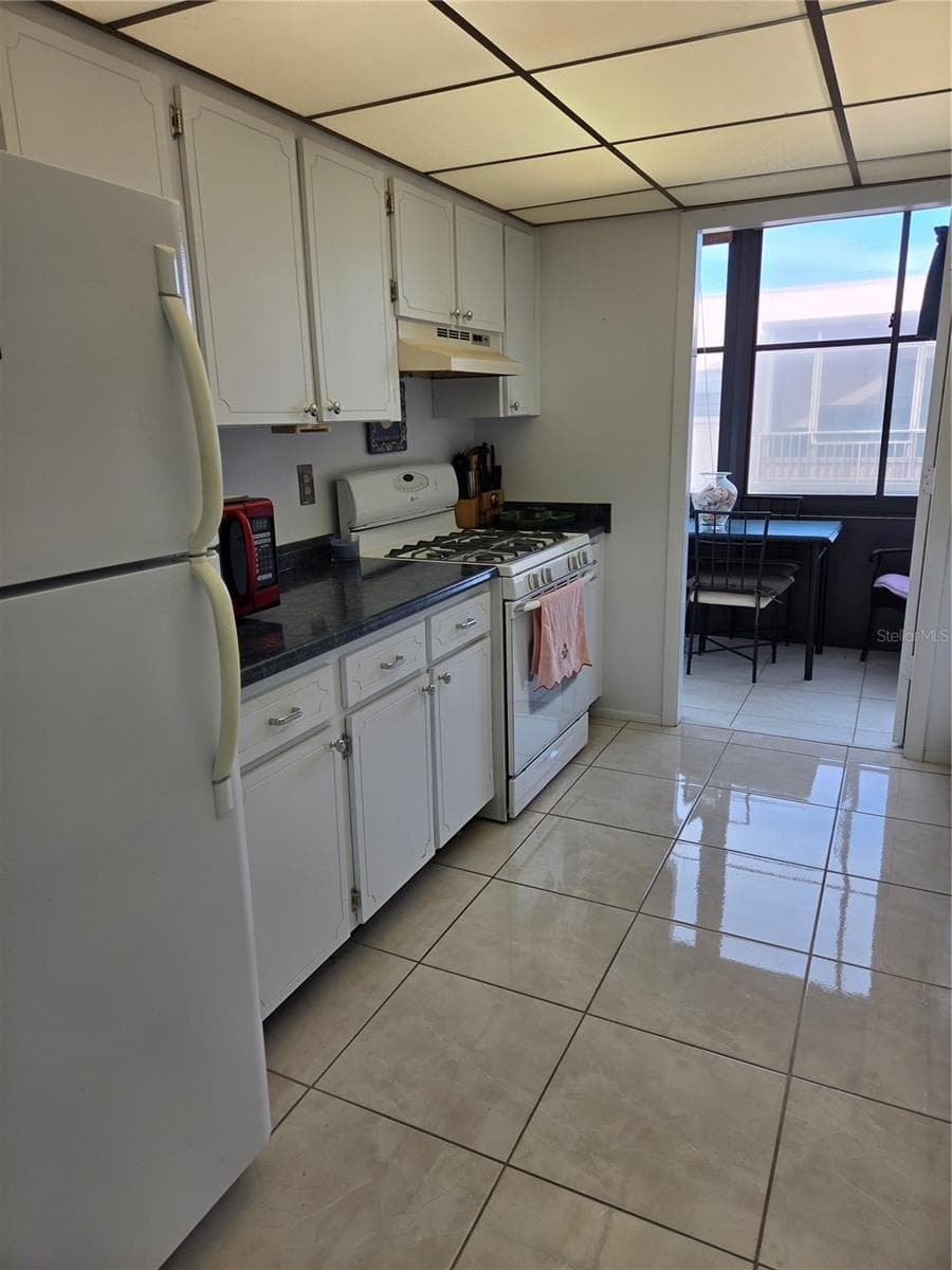 Lots of cabinets in the spacious kitchen - 5969 TERRACE PARK DR N #305, ST PETERSBURG