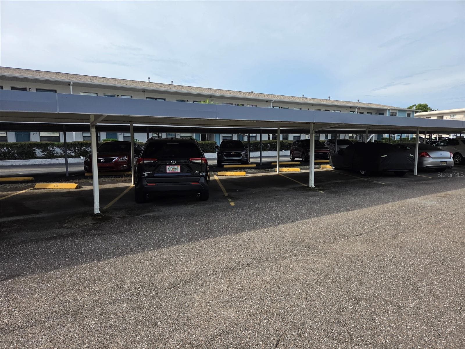 Covered parking - 5969 TERRACE PARK DR N #305, ST PETERSBURG