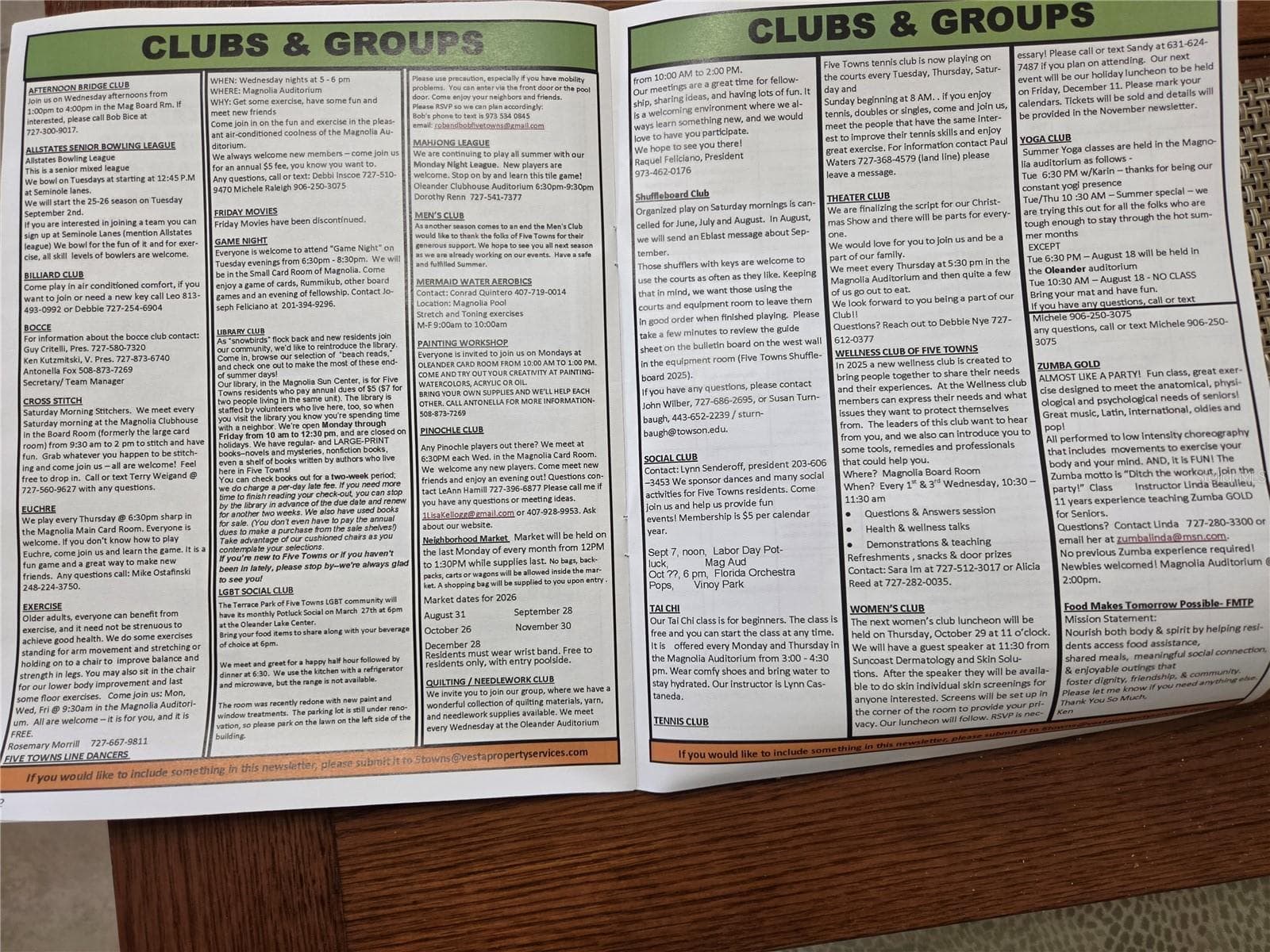Lots of clubs and groups for your every whim - 5969 TERRACE PARK DR N #305, ST PETERSBURG