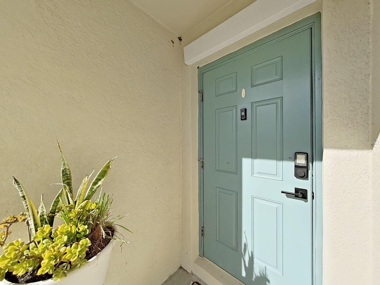 Welcoming front door - 5037 WHITE CHICORY DR, APOLLO BEACH