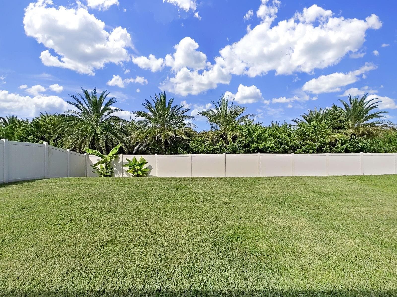Backyard view - 5037 WHITE CHICORY DR, APOLLO BEACH
