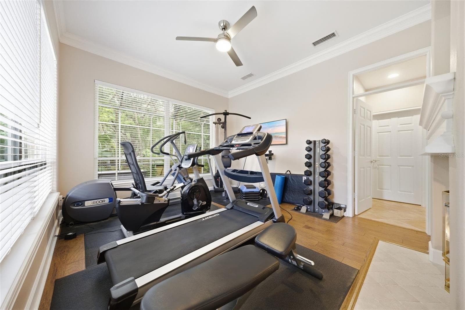 Bonus room - currently exercise room - 2887 GREY OAKS BLVD, TARPON SPRINGS