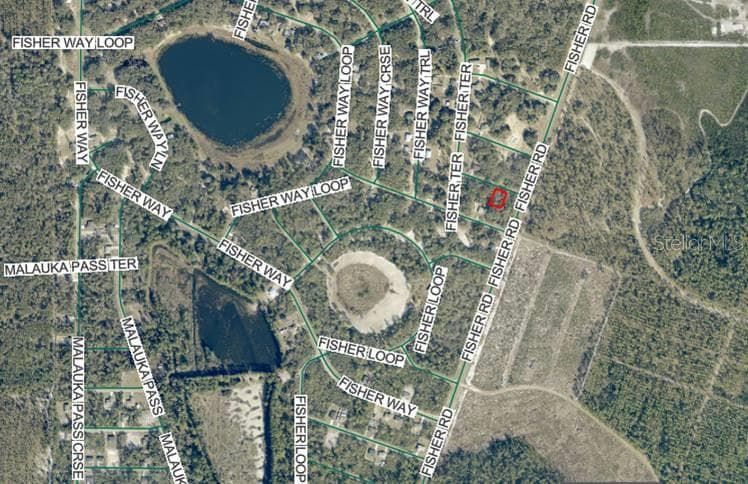 Land at Lot 4 FISHER TERRACE PL, OCKLAWAHA, photo 17 of 18