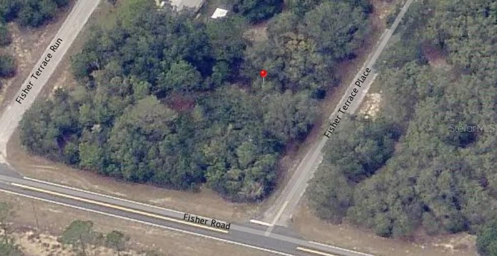Land at Lot 4 FISHER TERRACE PL, OCKLAWAHA, photo 6 of 18