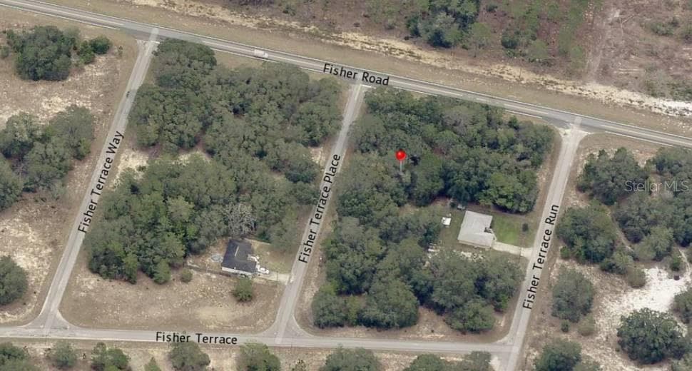 Land at Lot 4 FISHER TERRACE PL, OCKLAWAHA, photo 7 of 18