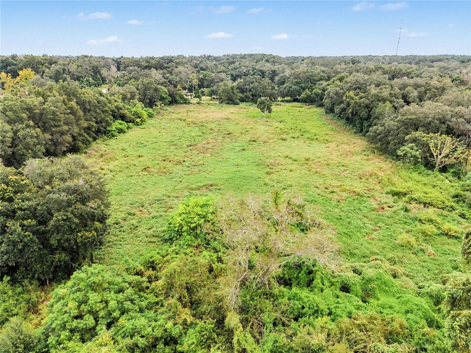 Land at 6560 STARK RD, SEFFNER, photo 5 of 10