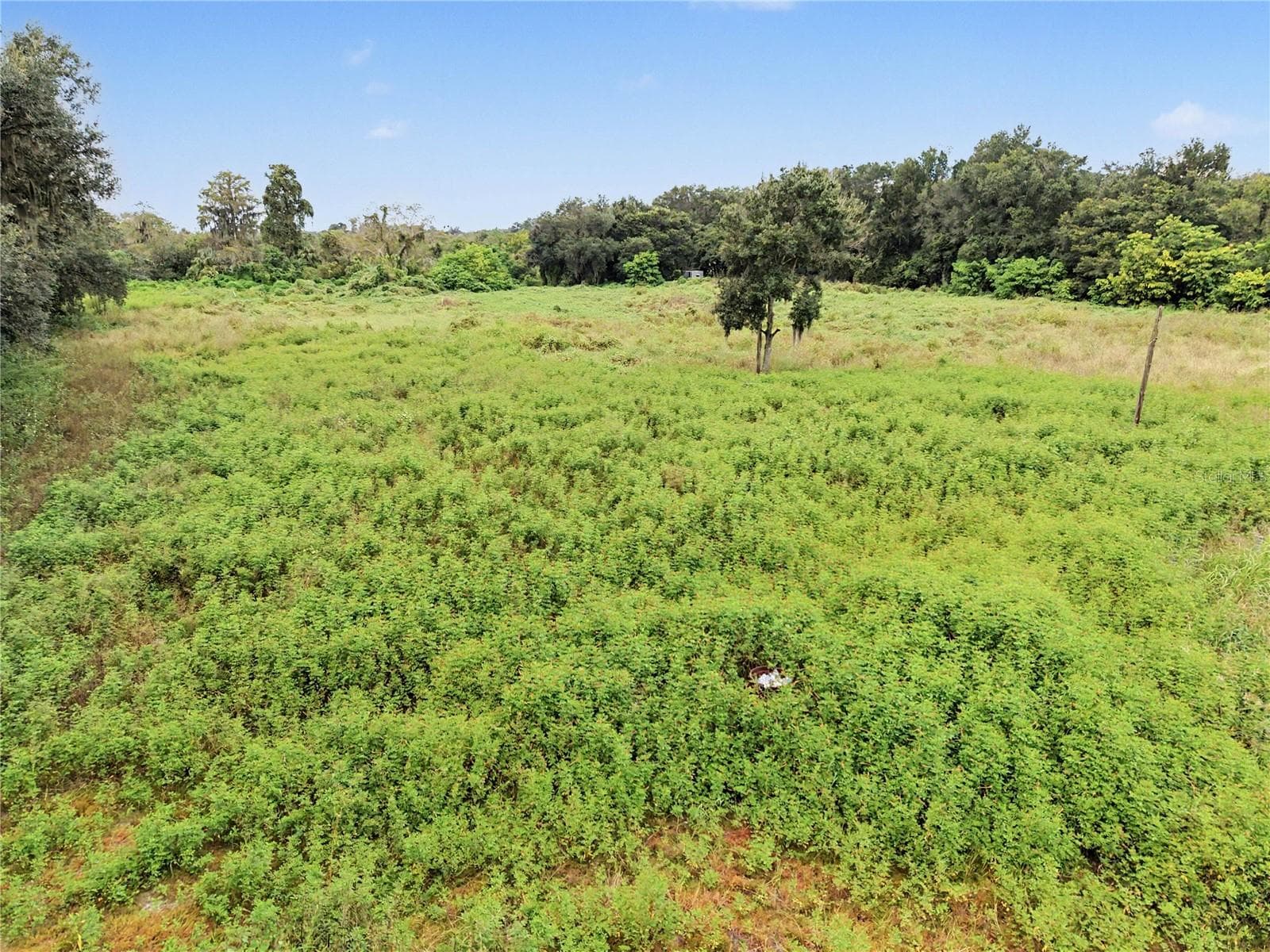 Land at 6560 STARK RD, SEFFNER, photo 6 of 10