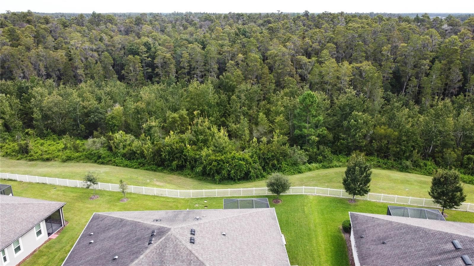 Backyard View - 19357 HAWK VALLEY DR, TAMPA