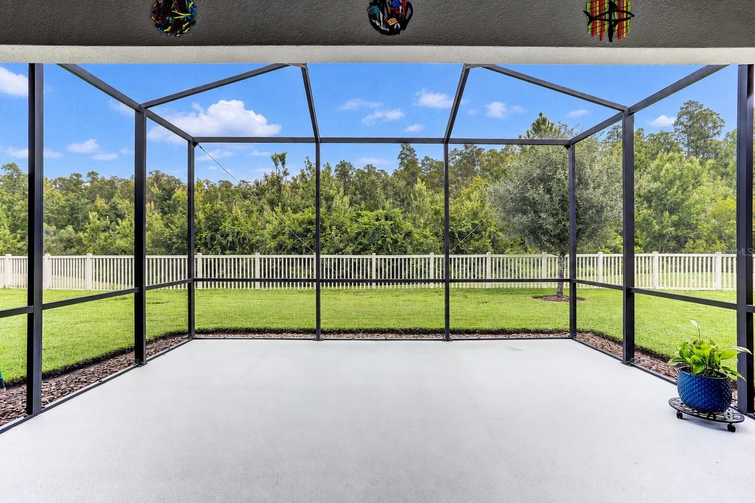 Screened Lanai and Backyard - 19357 HAWK VALLEY DR, TAMPA