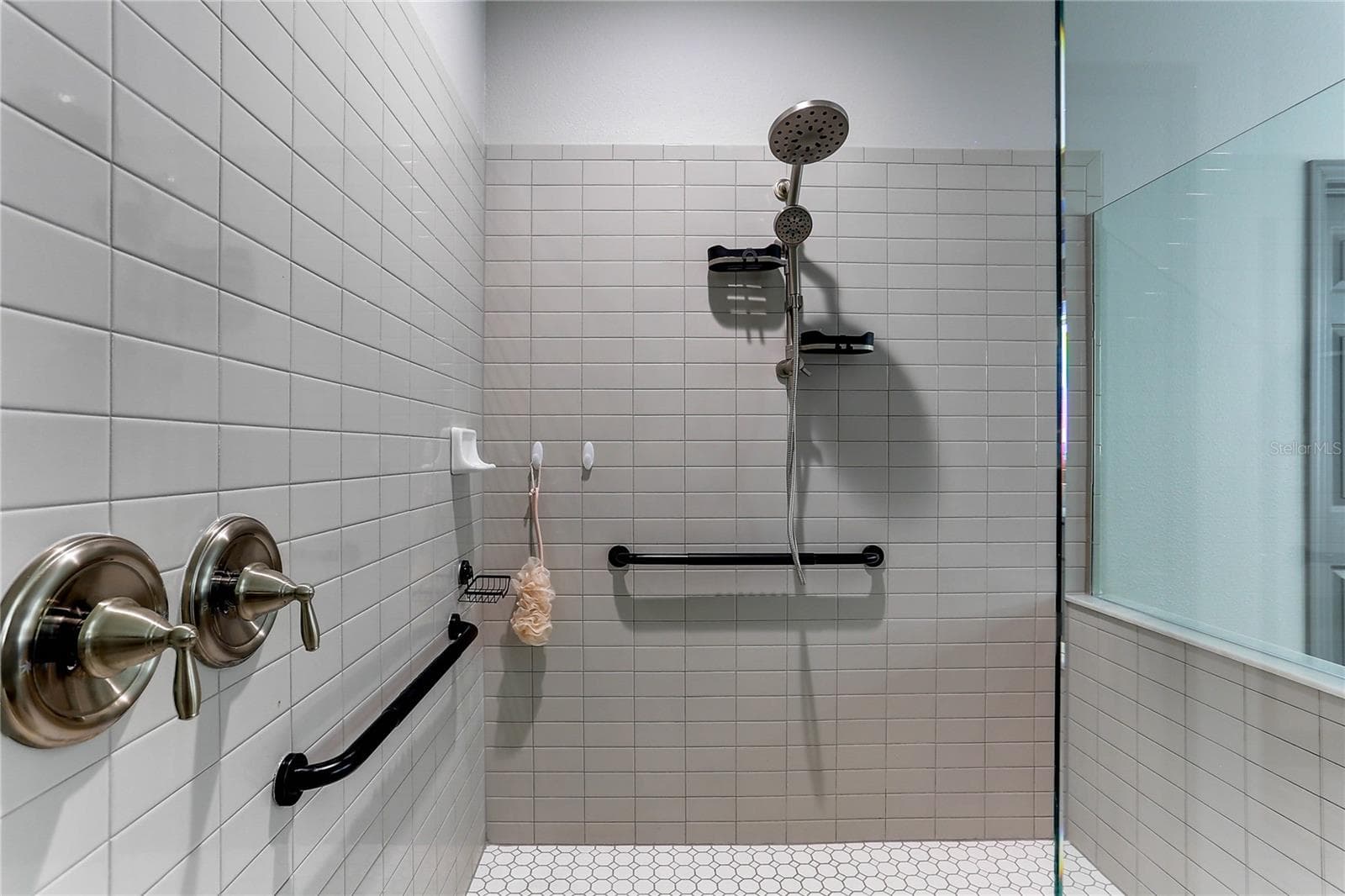 Shower - 19357 HAWK VALLEY DR, TAMPA