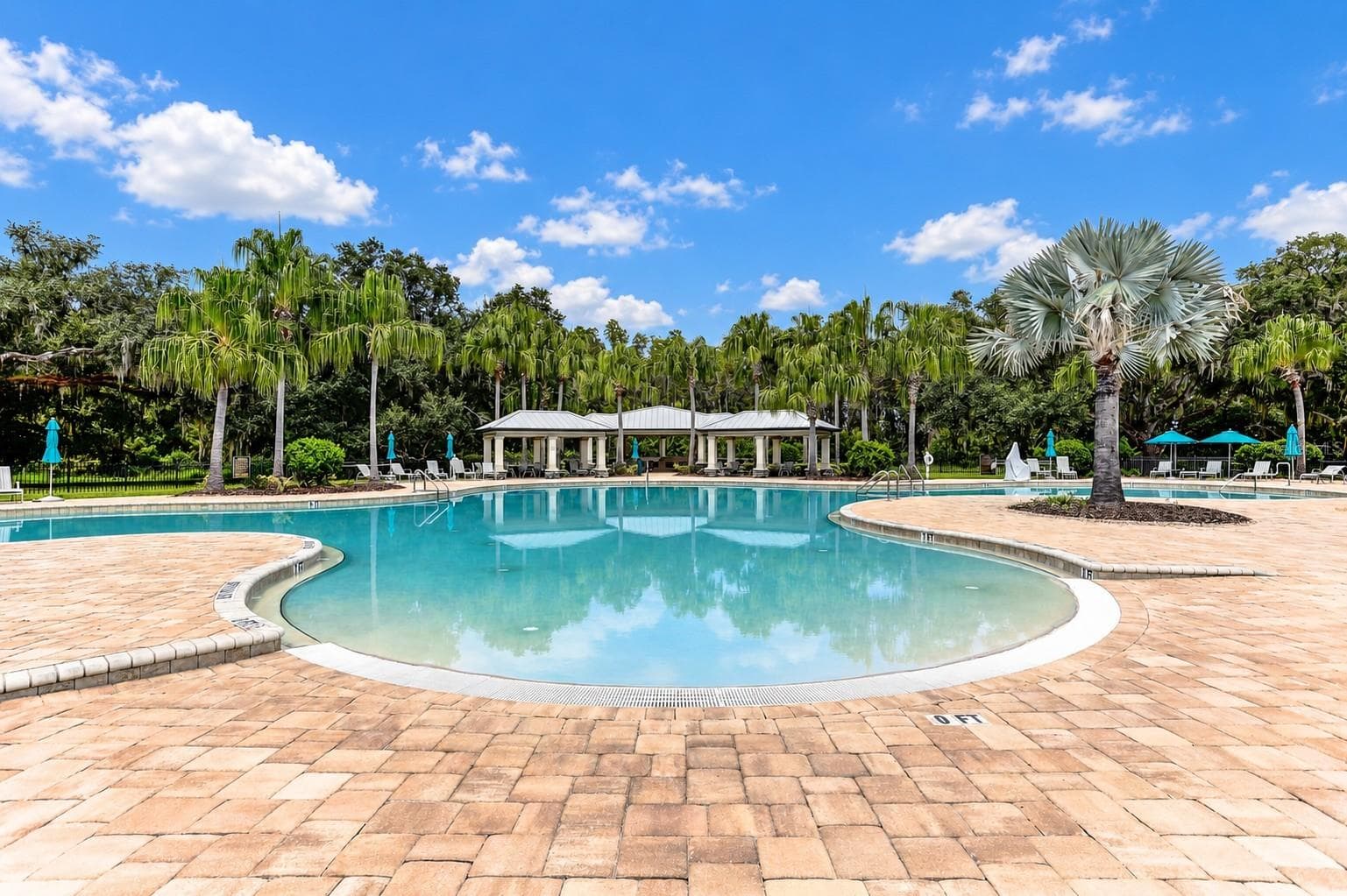 Community Pool - 19357 HAWK VALLEY DR, TAMPA
