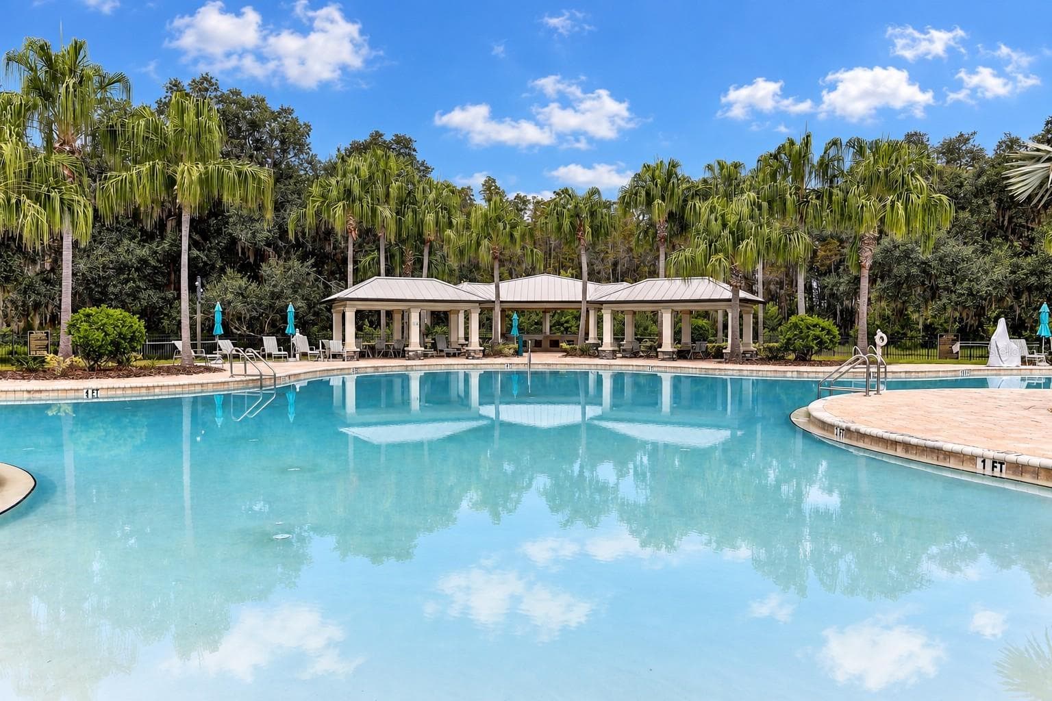 Pool - 19357 HAWK VALLEY DR, TAMPA