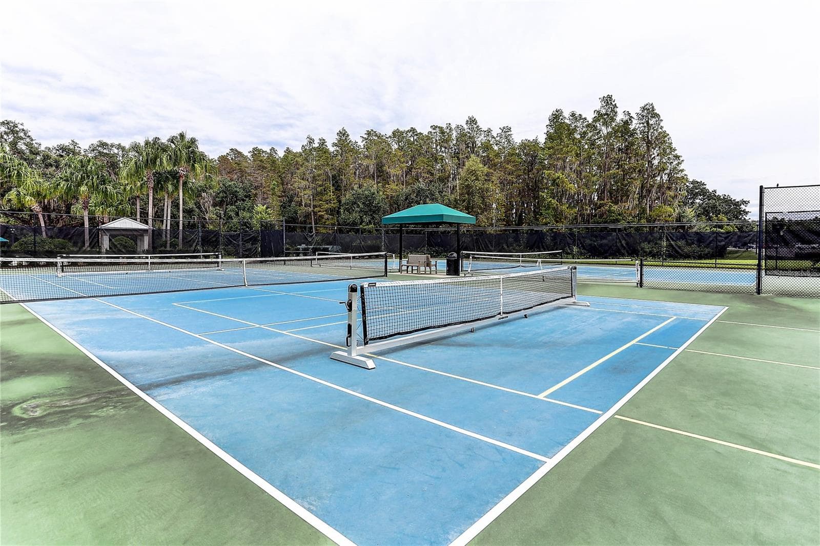 Tennis and Pickleball - 19357 HAWK VALLEY DR, TAMPA