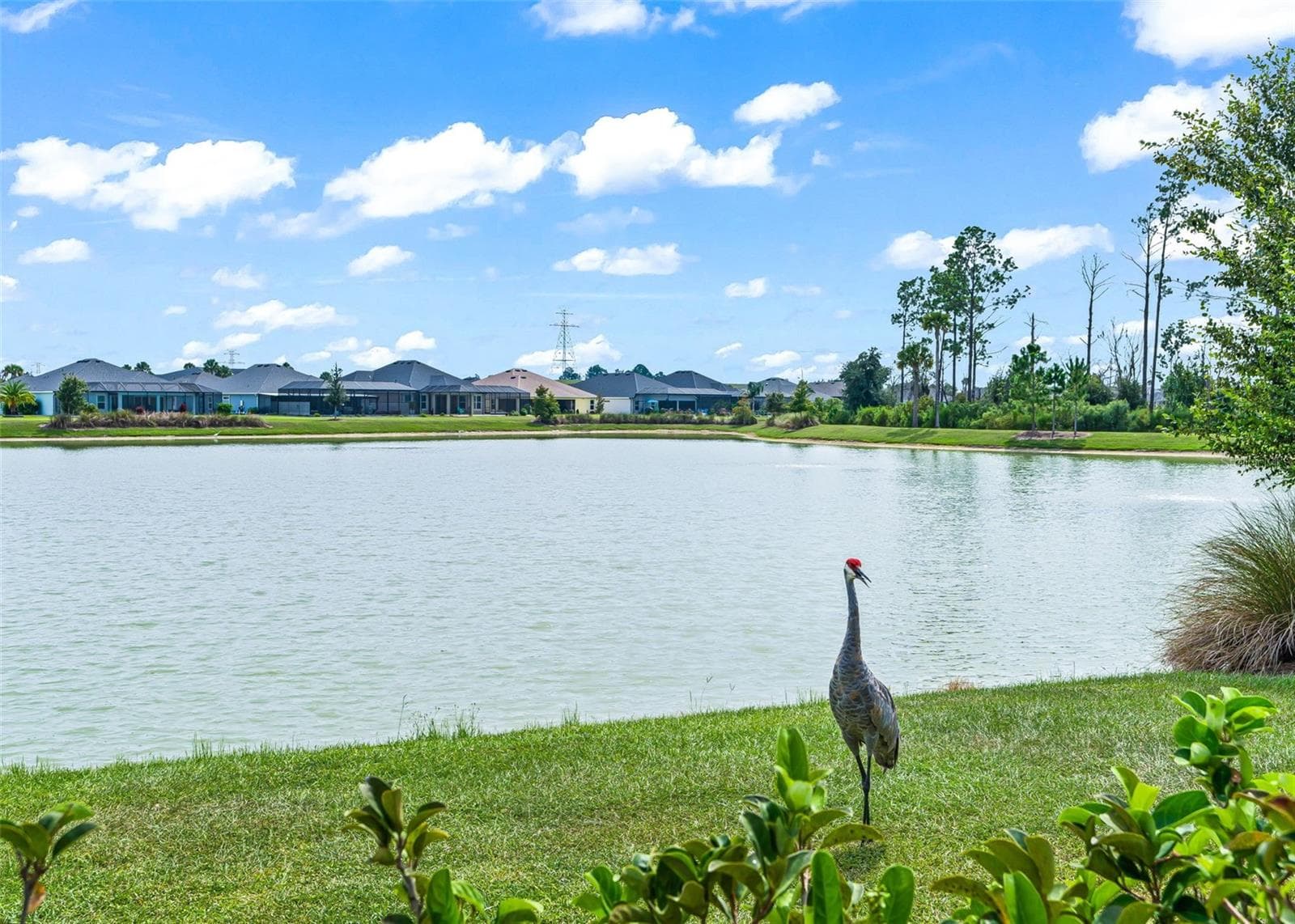 Single Family Residence at 1864 KEEL CT, THE VILLAGES, photo 80 of 91
