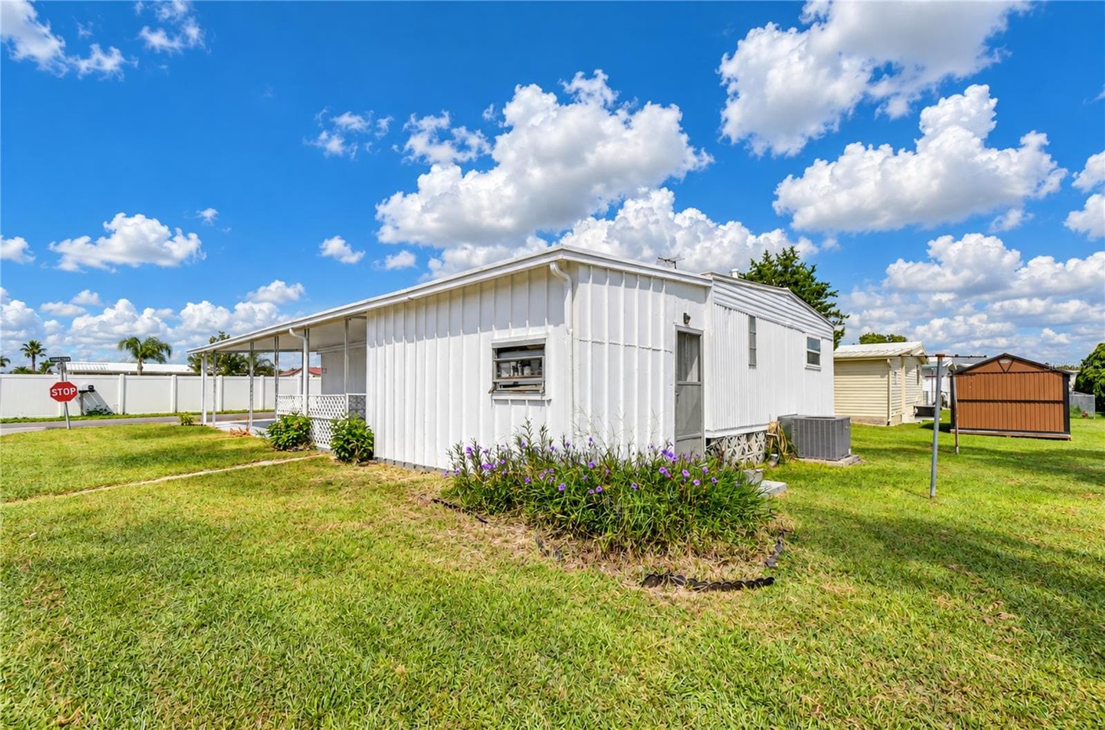 Exterior yard - 4710 WINDY LN, ZEPHYRHILLS