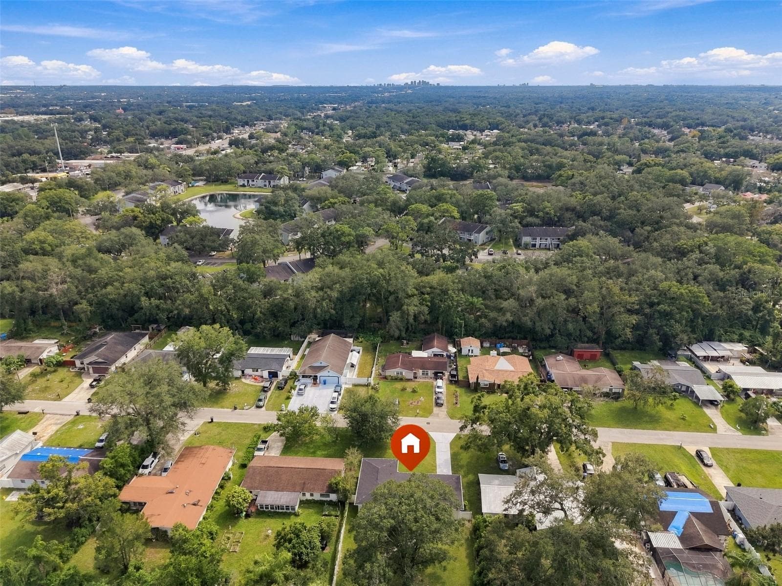 Single Family Residence at 125 SIOBHAN AVE, TAMPA, photo 6 of 42