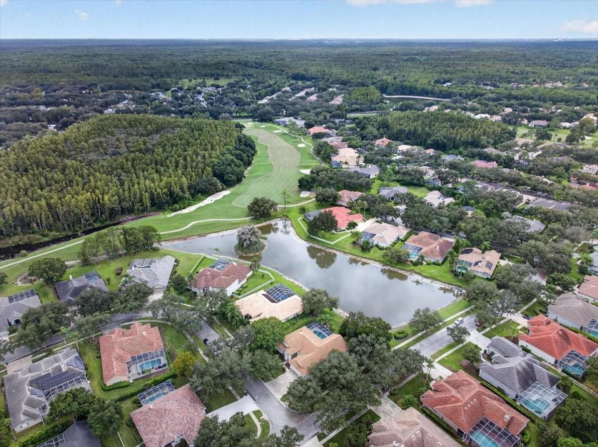 Single Family Residence at 9101 WOODRIDGE RUN DR, TAMPA, photo 94 of 100