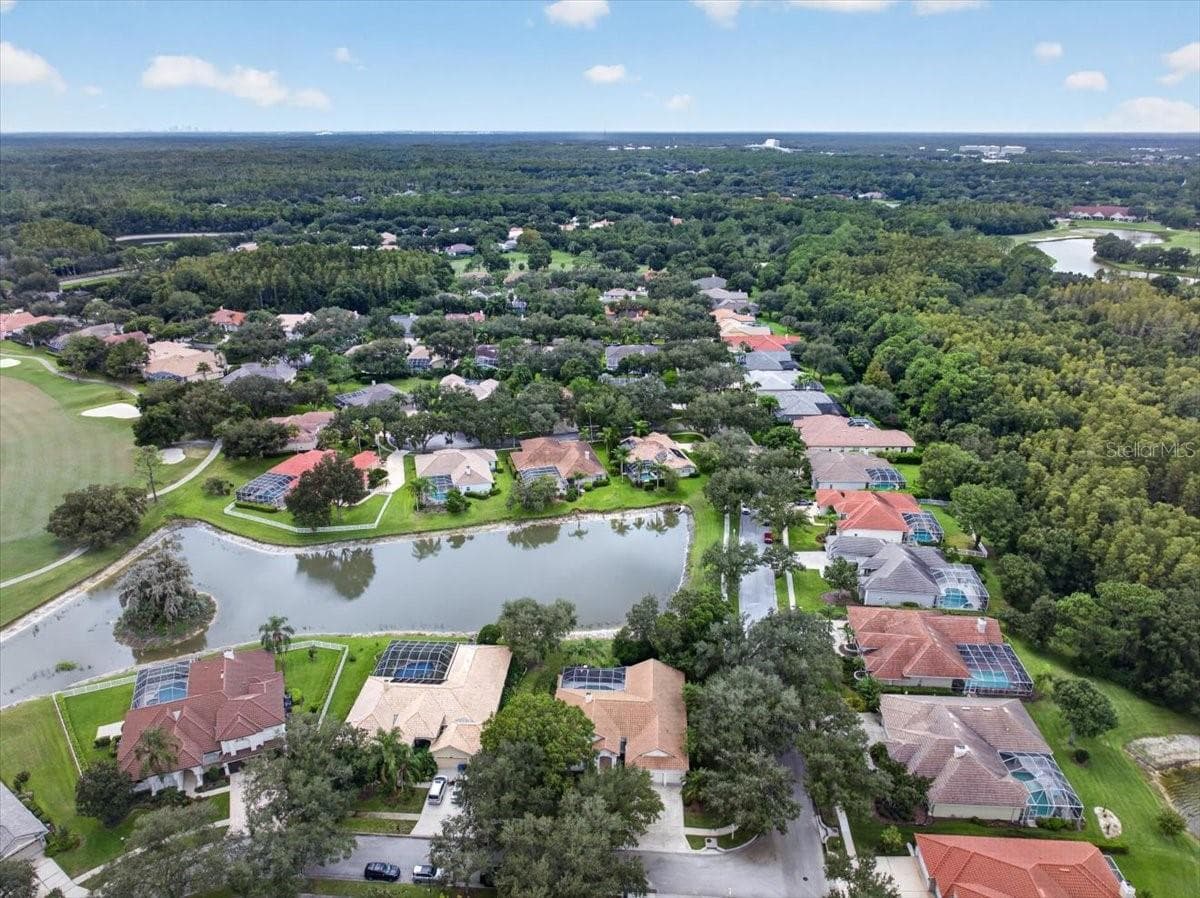 Single Family Residence at 9101 WOODRIDGE RUN DR, TAMPA, photo 95 of 100