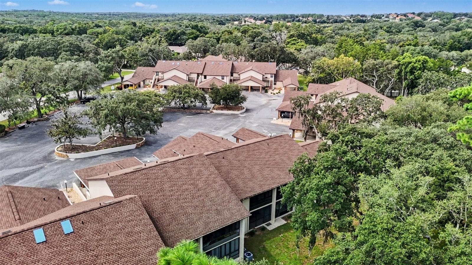 Back Arial View - 175 E HARTFORD ST #5A, HERNANDO